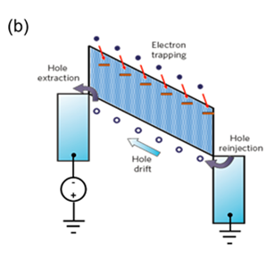   
		Figure 1b: Gain mechanism of the two-component phototransistor	 
